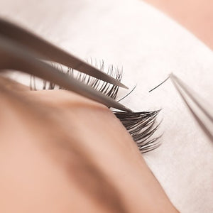 Single lashes - large refill (trainee)